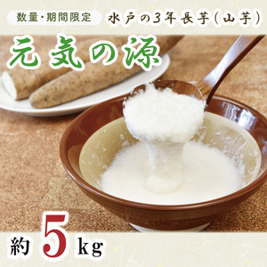 【2026年11月下旬～2027年１月下旬配送】【数量限定】水戸の３年長芋（元気の源）【ながいも 山芋 やまいも 野菜 やさい ムカゴ とろろ 茨城県 水戸市】（HD-1）