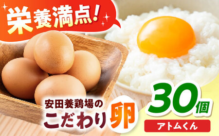 安田養鶏場のたまご アトムくん 30個入 AKHN002 たまご