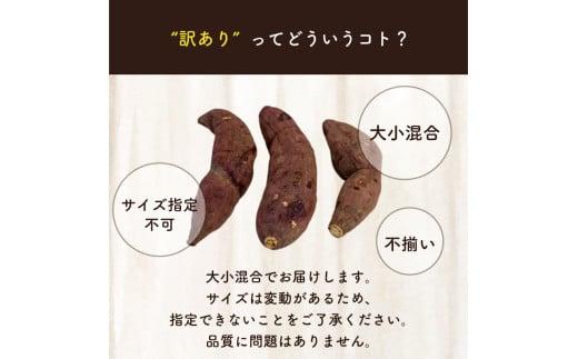 訳あり 冷凍 焼き芋 2kg 紅はるか 数量限定 選別紅はるか 高知県 須崎市 TJ015