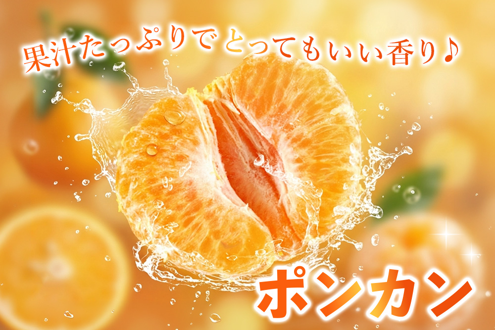 【2027年1月中旬より発送開始】ポンカン 10kg【みかん 柑橘 フルーツ デザート 貯蔵 高糖度】(H116147)