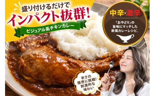レトルト 六ツ美のあの肉カレー＆萬歳 大正浪漫セット カレー 240g 計 4食 米 500g 1袋[六ツ美養鶏加工協同組合 愛知県 岡崎市 ok23bzw510010] カレー チキンカレー レトル