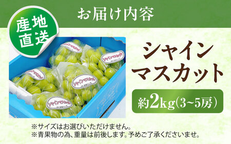 【先行予約】シャインマスカット 秀品 3房から5房 約2kg ＜2026年8月下旬より発送開始＞ ／ シャインマスカット 大人気 愛媛県 美味しい 人気 皮ごと 葡萄 ブドウ 愛媛県産 内子町産 新鮮