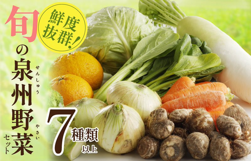 
【鮮度抜群】野菜セット 7種類以上 詰め合わせ 野菜 果物 新鮮 旬 セット 産地 直送 国産 季節の野菜
