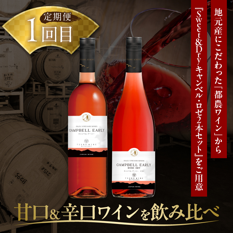 ≪定期便≫＼1か月に2回お届け!!／都農ワイン×うなぎ蒲焼★最強コンビ_T999-003【酒 飲料 鰻 魚介 国産 人気 ギフト 食品 お酒 飲み比べ 惣菜 高級 お土産 贈り物 送料無料】