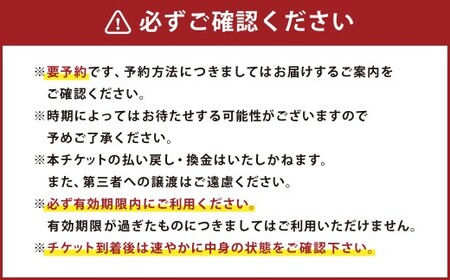 白鷹町のマツキドライビングスクールで使用できるクーポン券 （15,000円分） 自動車学校 運転免許 免許 免許証 通学免許 合宿免許 教習 クーポン券 クーポン チケット 券 割引クーポン券