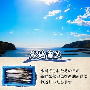 【2026年先行予約】 訳あり 鮮さんま 約2kg ＼ さんま ／