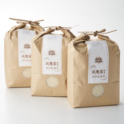 ふるさと納税 関川村 [先行予約] R7年産 濃厚な甘み!岩船産コシヒカリ精米6kg(2kg×3袋)[農家民宿おくやま]
