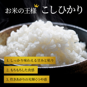 コシヒカリ お米 5kg 無洗米 定期12ヶ月 コシヒカリ