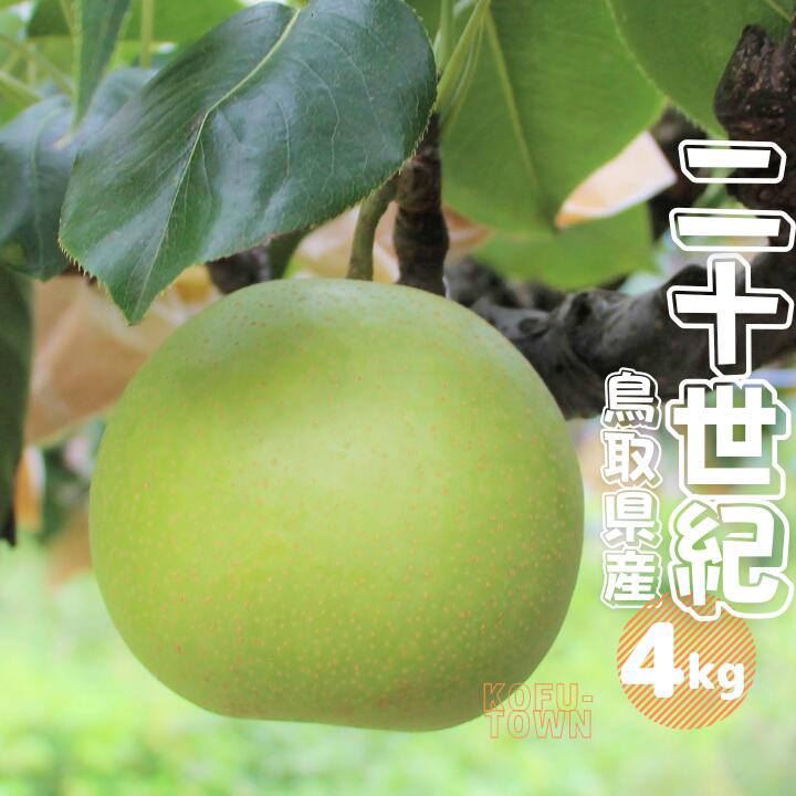 【ふるさと納税】梨 二十世紀 秀 約4kg 9～18玉前後 鳥取県産 先行予約受付 2026年秋収穫分 なし 4キロ TM37 0692