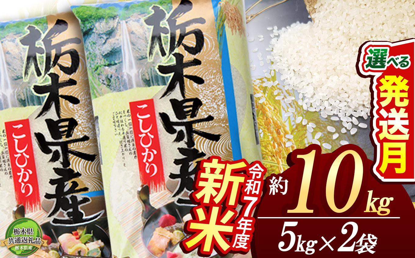 
            【栃木県共通返礼品】【先行予約】コシヒカリ10kg（5kg×2袋） | 定期便あり 米 こめ コメ kome 白米 精米 お米 こしひかり ｺｼﾋｶﾘ 新米 栃木米 令和7年度米 令和7年度 2025年度米 2025年度 ブランド米 栃木県 特産品 送料無料 栃木県 下野市 しもつけ市
          