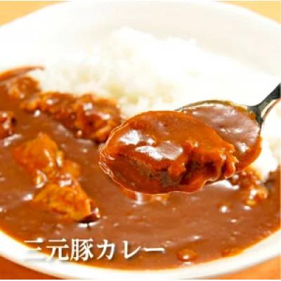 ふるさと納税 酒田市 【平田牧場】日本の米育ち◆金華豚・三元豚コラーゲン入りカレーギフト |  | 02