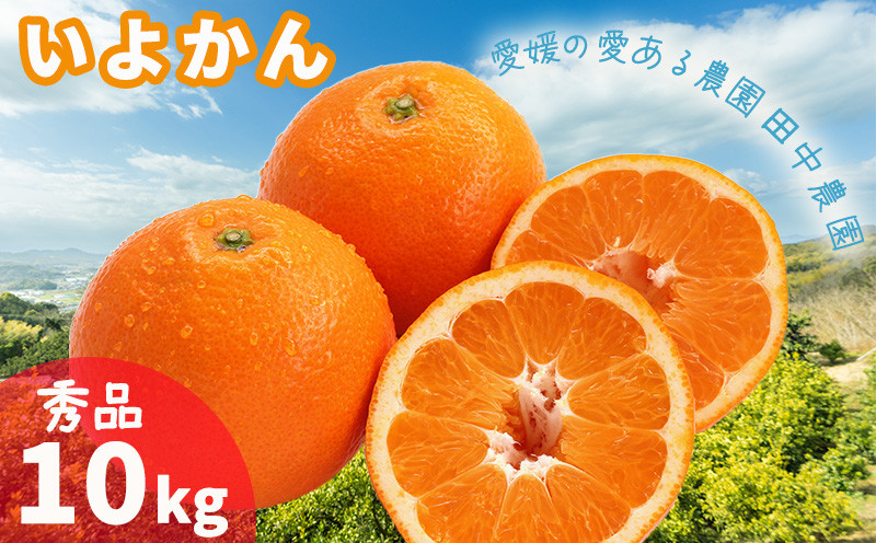
             伊予柑 いよかん 約10kg  秀品【1月上旬から順次発送】柑橘類 先行予約 贈答用 ギフト フルーツ 柑橘類 先行予約 果物 フルーツ みかん イヨカン 宮内伊予柑 人気 おすすめ 愛媛 松山 田中農園
          