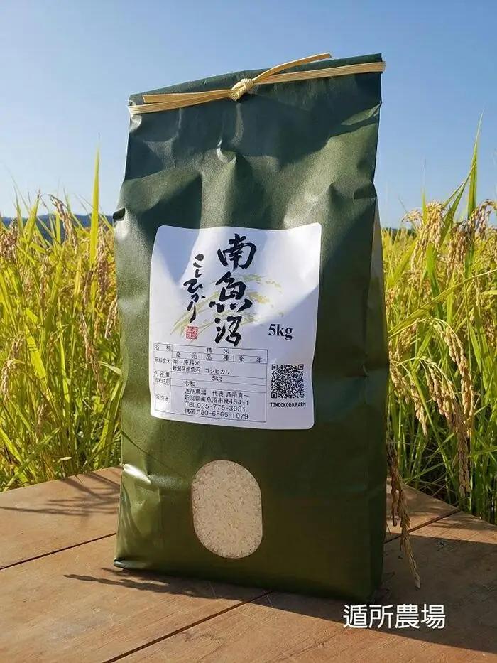 【令和8年 産新米予約】【お米定期便/全６回】南魚沼産コシヒカリ　白米５ｋｇ｜コシヒカリ【2026年10月中旬から1ヶ月以内に順次発送予定】