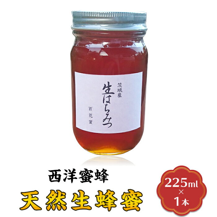 【ふるさと納税】【先行予約】はちみつ 国産 生はちみつ 生蜂蜜 生ハチミツ 天然生蜂蜜（西洋蜜蜂）【2025年6月上旬から順次発送予定】