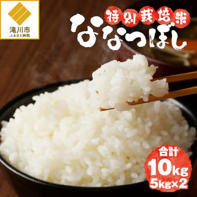 ふるさと納税 滝川市 《令和7年産》特別栽培米ななつぼし 10kg 特A 減農薬 白米 ブランド米 北海道滝川市