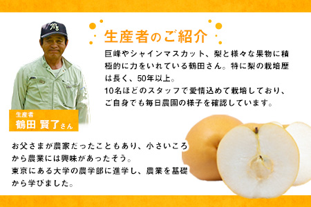 【先行予約】梨 鶴田農園 梨予約 期間限定 豊水 あきづき 甘太 のいずれかお届け 約3kg 6～9玉 熊本県 荒尾市産 《8月下旬-9月下旬頃出荷》 美味しい梨 旬の梨 ジューシー梨 フルーツ梨