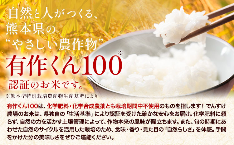 【3ヶ月定期便】令和7年産 精米 七城のこめ 15kg《お申込み翌月から出荷》熊本県 菊池市 米 白米 ヒノヒカリ でんすけ農場