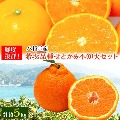 小林果園のせとか＆不知火セット(各約2.5kg入)【C24−21】【1124427】