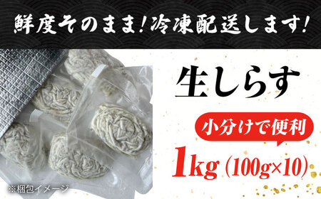 しらす 冷凍 シラス 小分け 干し 生しらすのプリッした食感と塩味が抜群！生しらす100g×10個 冷凍 シラス 鮮魚 ギフト 海鮮丼 広島県産 江田島市/三島水産株式会社[XCN006]