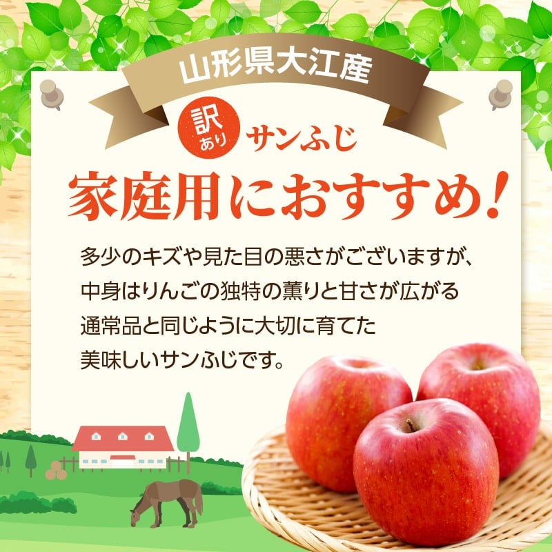 《先行受付》特別栽培 訳あり 家庭用サンふじ約10kg 【2027年1月～発送予定】