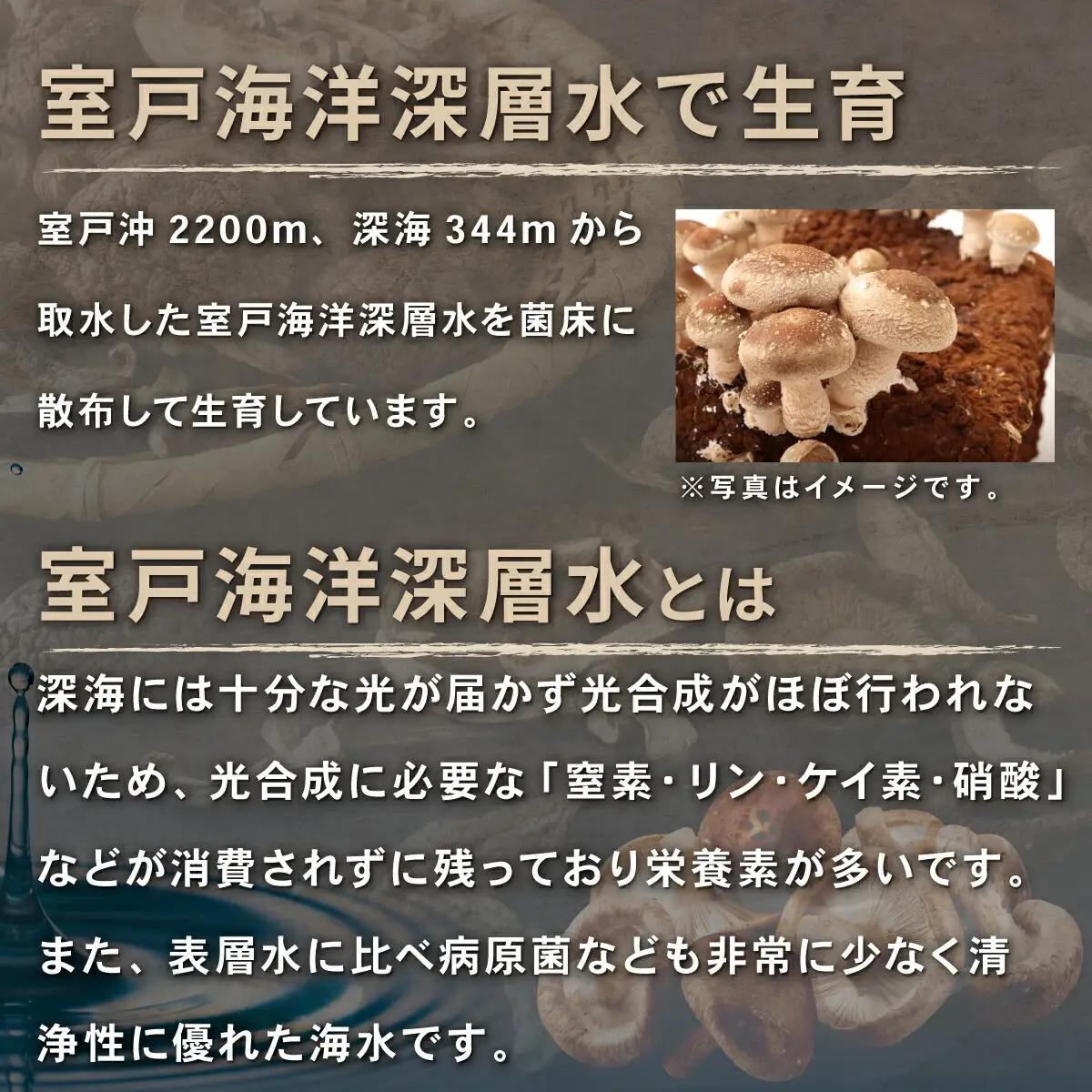 干し椎茸(しいたけ)１０袋計３００ｇ 菌床シイタケ
