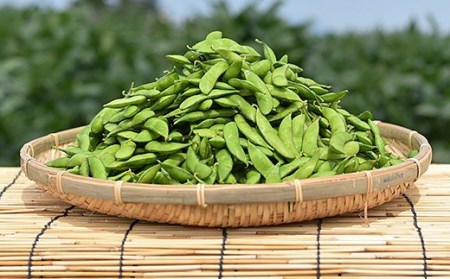 75E-18新潟県長岡産枝豆2.0kg【越一寸250g×8袋入り】