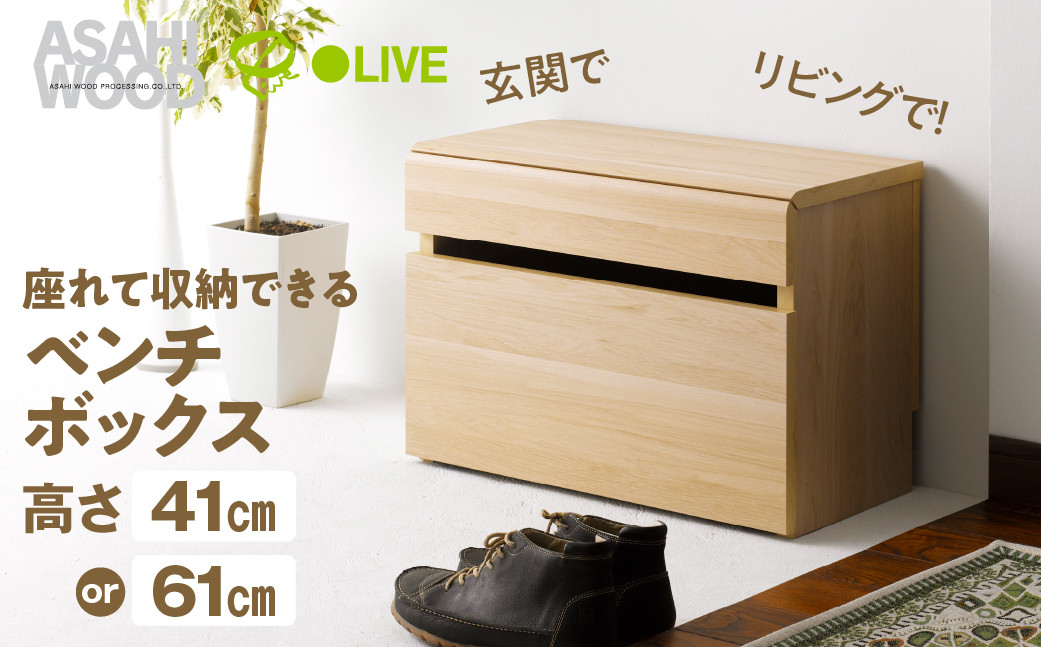 
                  朝日木材 ベンチボックス 高さが選べる 41cm / 61cm ナチュラル ≪LFM-4060BC-NA≫≪LFM-6060BC-NA≫玄関収納 ウッド スツール 収納 収納ベンチ キャスタ付 玄関 シューズラック 椅子 収納付椅子 ベンチ 玄関家具 40000円 45000円愛知県 豊橋市
                