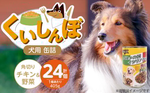 くいしんぼ 犬用 缶詰（角切りチキン＆野菜）405g×24個_くいしんぼ 犬用 缶詰 405g×24個 角切り チキン＆野菜 成犬用 犬 サポートフード 噛みごたえ 栄養バランス 消化吸収 優れた ペットフード ドッグフード 福岡県 久留米市 送料無料_Pf049-03