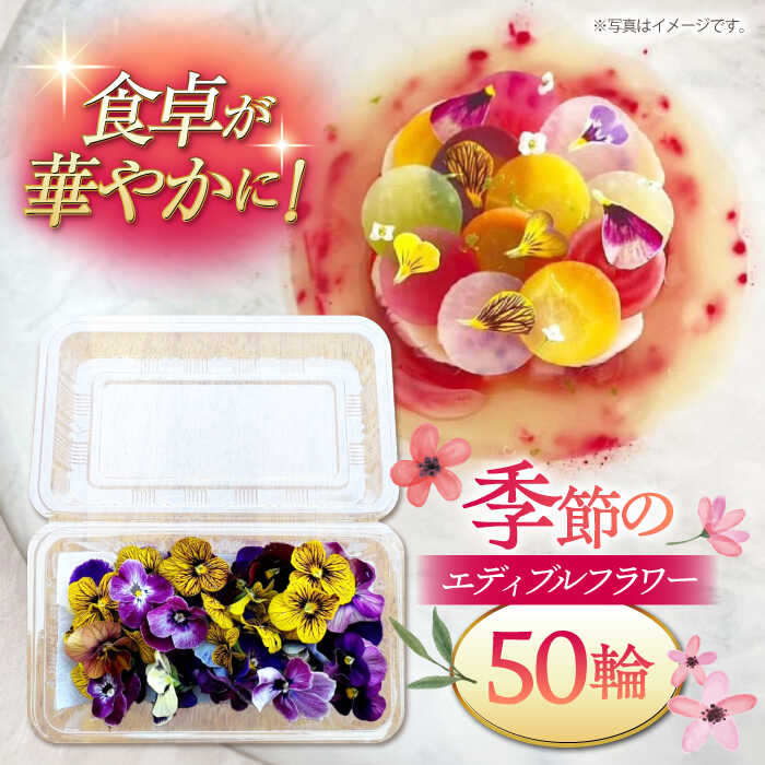 【ふるさと納税】季節のエディブルフラワー50輪おまかせ ▼ガーニッシュ 食用花 花 食べられる花 地域特産 装飾 料理 桂川町/NOGAMI　FARM[ADAU001] 7000 7000円