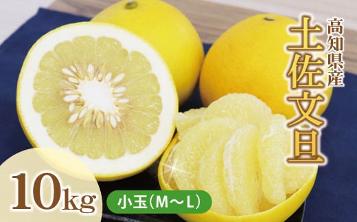 土佐文旦（ぶんたん）（小玉サイズ：Ｍ～Ｌ混合）約10kg 【株式会社とさもん（土佐市）厳選】家庭用  文旦 10キロ 約25～30玉 ぶんたん ブンタン 果物 柑橘 フルーツ お取り寄せ おいしい 美味しい