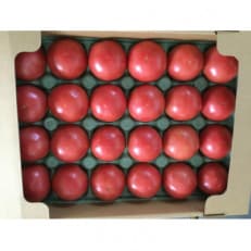 飛騨高山で採れた有機栽培トマト「王様トマト」4kg　TR3729