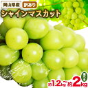 【ふるさと納税】訳あり シャインマスカット 選べる 約1.2kg(1~3房) 約2kg(2~5房)【先行予約】 花田青果株式会社《2025年9月上旬-10月末頃出荷》マスカット 送料無料 岡山県 浅口市 シャインマスカット ぶどう フルーツ 果物 贈り物 ギフト【配送不可地域あり】