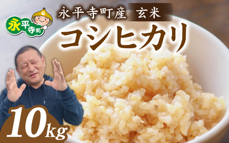 【先行予約】永平寺町飯島産 コシヒカリ 【玄米】10kg 【2025年10月中旬以降順次発送予定】