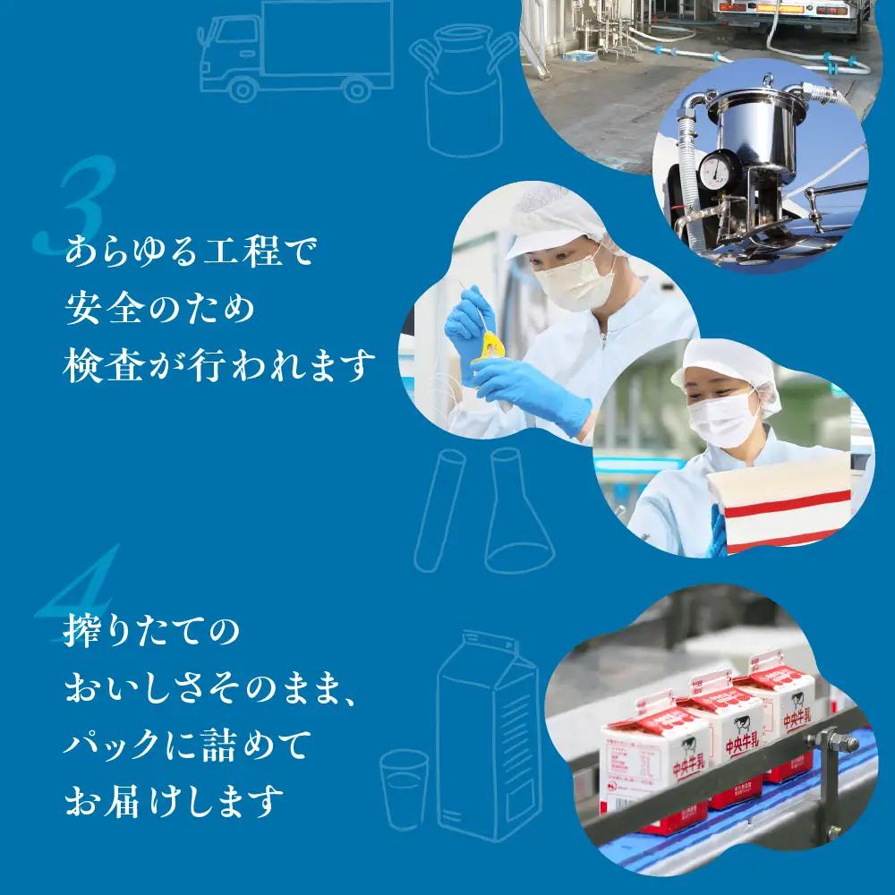 中央コーヒー 乳飲料 1L×6本 乳飲料