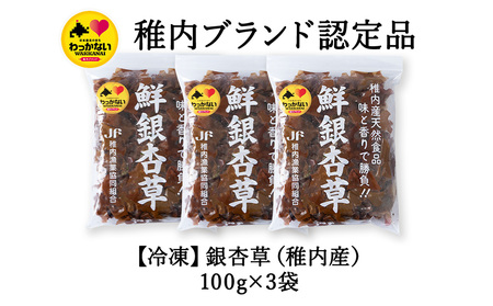 【稚内ブランド認定品】稚内産　天然銀杏草100g×3袋(急速生冷凍)【配送不可地域：離島】【1105455】