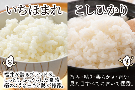 【令和7年産・新米】 定期便 ≪6ヶ月連続お届け≫ 福井産無洗米 いちほまれ こしひかり 各2kg×6回 計24kg 【 無洗米 人気 品種 ブランド米 特A 】 [K-6109]