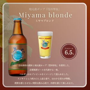 父の日 定期便 3ヶ月 志賀高原ビール12本セット 【 クラフトビール 志賀高原ビール 飲み比べセット 玉村本店 ビール 詰め合わせ セット 地ビール 飲み比べ 黒ビール IPA ipa ペールエール