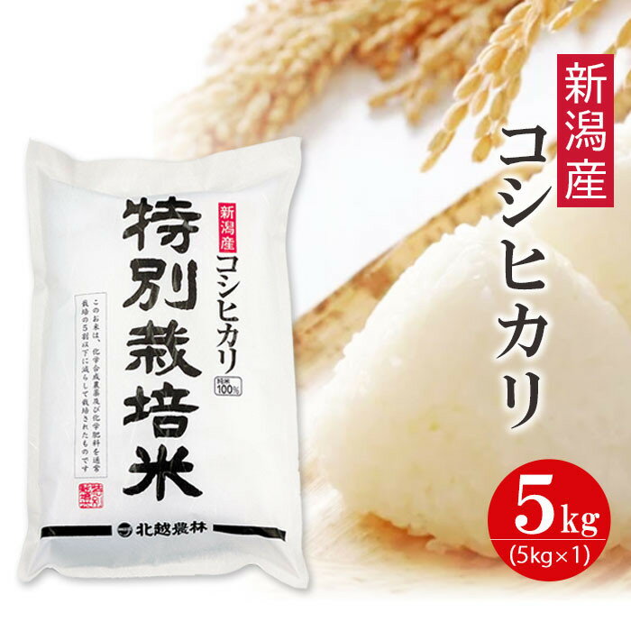 【ふるさと納税】【令和7年産】新潟産コシヒカリ 特別栽培米 5kg 精米 白米