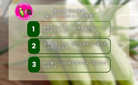 【テレビで紹介されました！】とうもろこし 先行予約 森のとうもろこし 12～14本 甘い 野菜 夏野菜 旬 夏 高糖度 産地直送 旬の野菜 季節の野菜 おやつ 行列のできる コーン 先行 予約 202