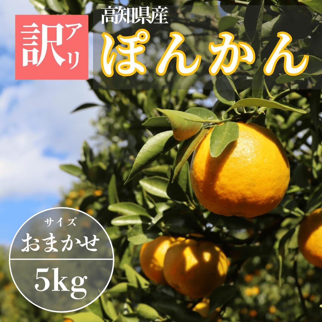 【ふるさと納税】TM001-1 徳村の訳ありぽんかん＜5kg＞国産 東洋町産 訳アリ 甘い コク ジューシー 果肉 高知県 東洋町 四国 お取り寄せ フルーツ 果物 家庭用 自宅用 送料無料