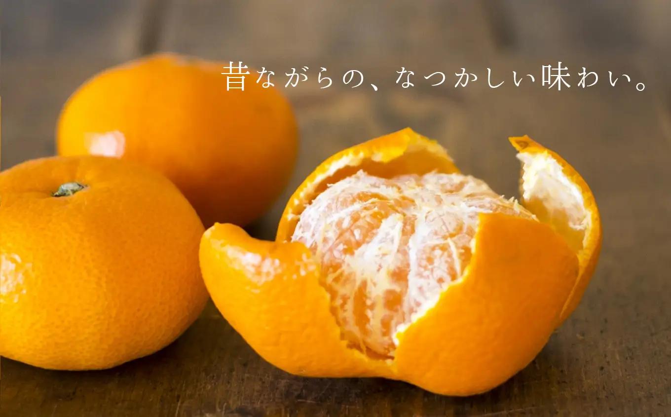 【定期便2回】 熊本県 和水町産 大小混合 みかん 5kg ミカン フルーツ 定期便