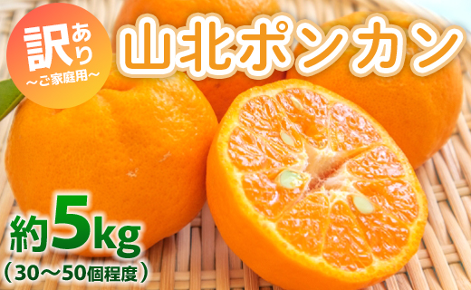 ぽんかん 5kg(約30～50個程度) 訳あり 山北ポンカン - 果物 フルーツ 柑橘類 ぽんかん ミカン 蜜柑 訳アリ わけあり 生産者応援 甘い おいしい 美味しい 山北みらい 高知県 香南市 yk-0051