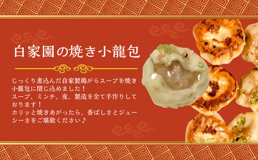 【全12回定期便】【詰め合わせ】ぶたまん20個×焼餃子10個×焼小籠包8個 ／ 中華 点心 惣菜 豚まん ぎょうざ セット 詰め合わせ 長崎県 長崎市