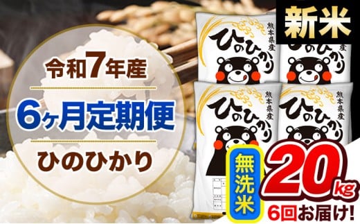 【6ヶ月定期便】新米 令和7年産 定期便 無洗米 ひのひかり20kg 《お申込み翌月から出荷》令和7年産 熊本県産 ふるさと納税 精米 ひの 米 こめ ふるさとのうぜい ヒノヒカリ コメ 熊本米 ひのもり