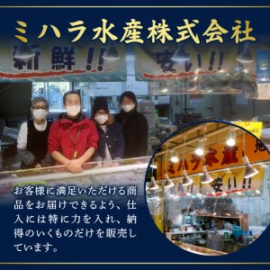 ネギトロ まぐろたたき 80g×12パック (a10-637)