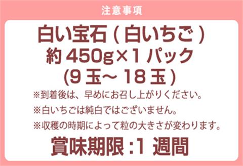 『先行予約』【令和7年2月上旬から4月下旬までにお届け】白い宝石 白いちご 450g 贈答用 いちご イチゴ 苺 フルーツ 果物 希少