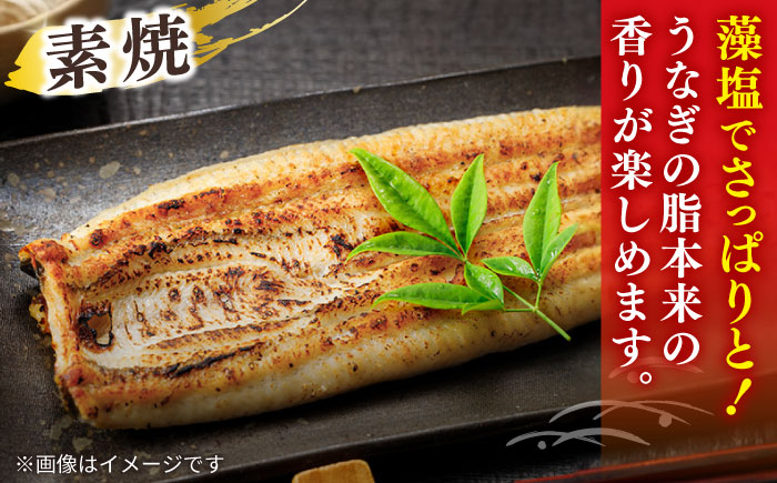 【3回定期便】うなぎ老舗専門店のパリっとふっくら 紅白うなぎ 蒲焼・素焼半身　(真空パック/秘伝のタレ・藻塩付き) 島根県松江市/株式会社山美世商会 [ALDC016]