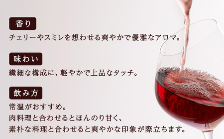千歳ワインピノノワール2023 （Chitose Wine PINOT NOIR2023）750ml 1本※ギフトボックス無し