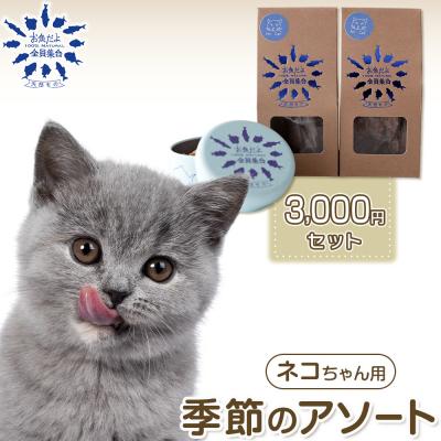 ふるさと納税 川崎市 お魚だよ全員集合　季節のアソートセット 3,000円セット　ネコちゃん用