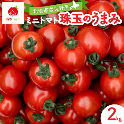 
                  ＜2026年発送＞清水farm＜ミニトマト2kg＞『珠玉のうまみ』【1687846】
                